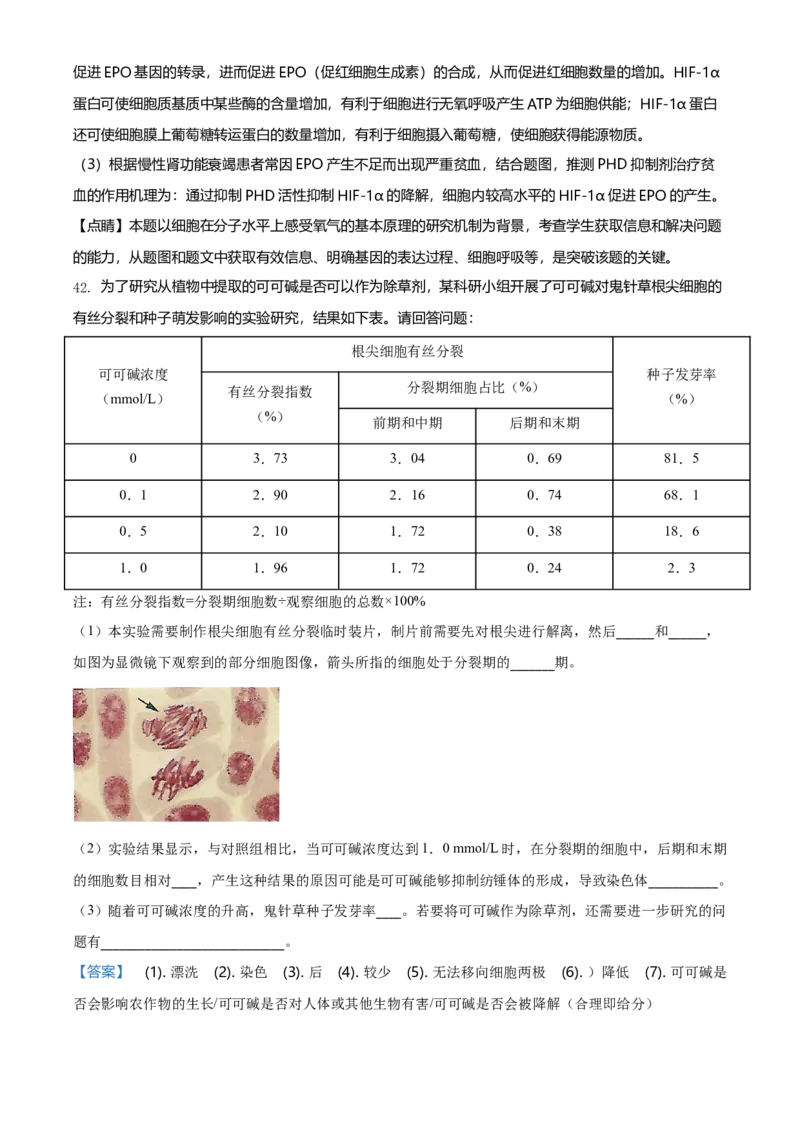 精品解析：北京丰台区高一上学期期末生物试题（解析版）_高中九科知识点归纳。_人教版高中Word电子版试卷练习试题知识点全科_高中生物试卷习题_生物必修_必修1_2.各地真题