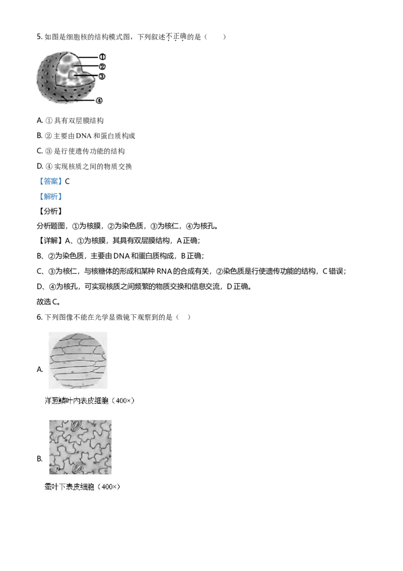 精品解析：北京丰台区高一上学期期末生物试题（解析版）_高中九科知识点归纳。_人教版高中Word电子版试卷练习试题知识点全科_高中生物试卷习题_生物必修_必修1_2.各地真题
