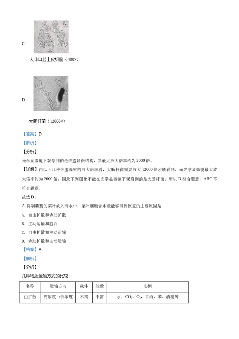 精品解析：北京丰台区高一上学期期末生物试题（解析版）_高中九科知识点归纳。_人教版高中Word电子版试卷练习试题知识点全科_高中生物试卷习题_生物必修_必修1_2.各地真题