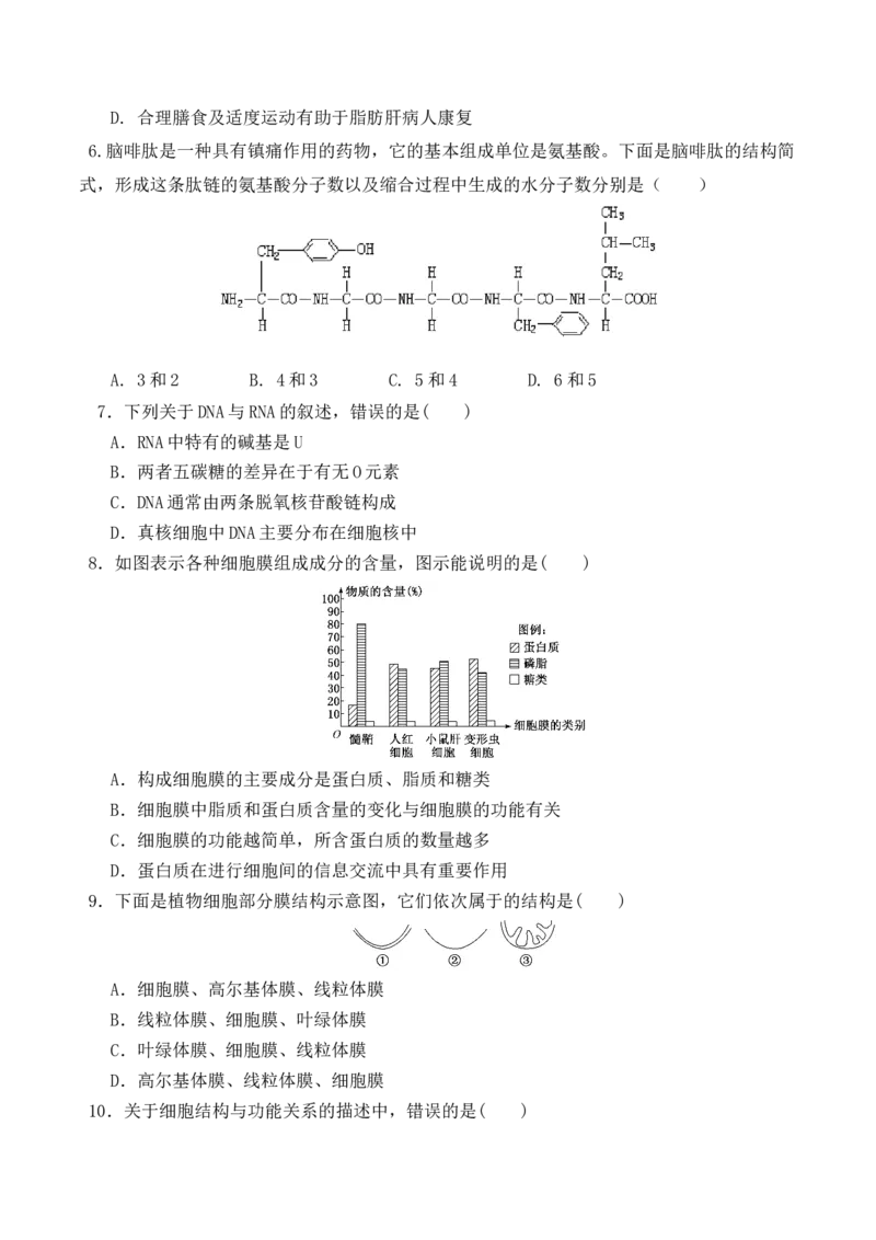 期末预测卷（一）-高一生物上学期课后培优分级练（2019人教版必修1）（原卷版）_高中九科知识点归纳。_人教版高中Word电子版试卷练习试题知识点全科_高中生物试卷习题_生物必修_必修1