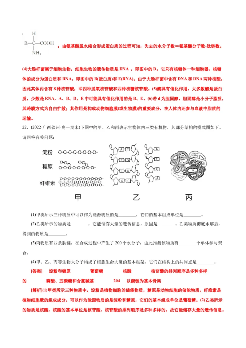 第2章组成细胞的分子（A卷&middot;知识通关练）（解析版）_高中九科知识点归纳。_人教版高中Word电子版试卷练习试题知识点全科_高中生物试卷习题_生物必修_必修1_1.单元测试AB卷（第一套）