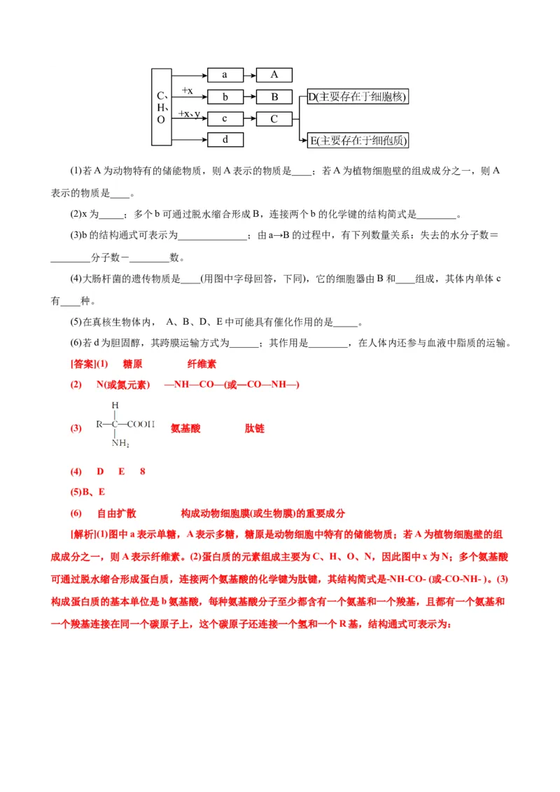 第2章组成细胞的分子（A卷&middot;知识通关练）（解析版）_高中九科知识点归纳。_人教版高中Word电子版试卷练习试题知识点全科_高中生物试卷习题_生物必修_必修1_1.单元测试AB卷（第一套）