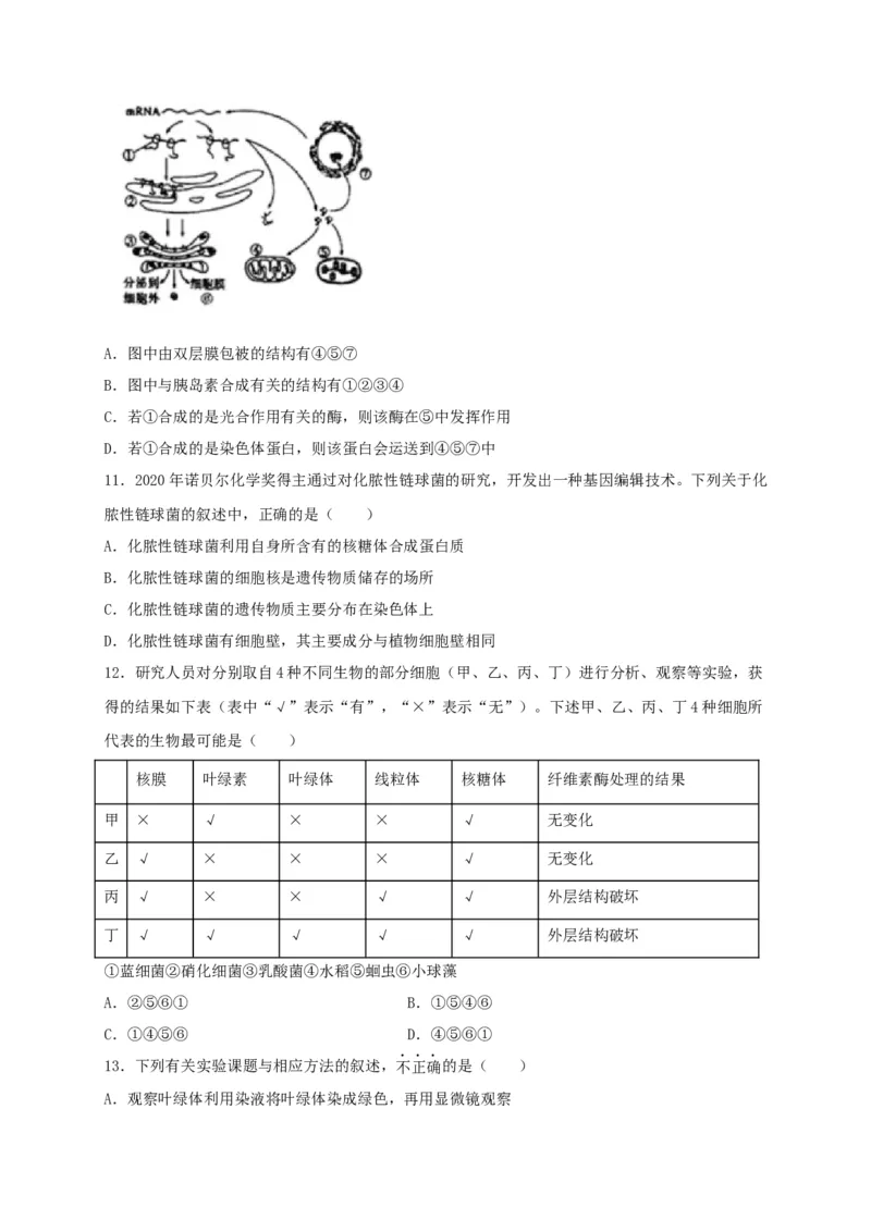 高一生物上学期期末测试卷03（人教版必修1）（原卷版）_高中九科知识点归纳。_人教版高中Word电子版试卷练习试题知识点全科_高中生物试卷习题_生物必修_必修1_1.模拟题
