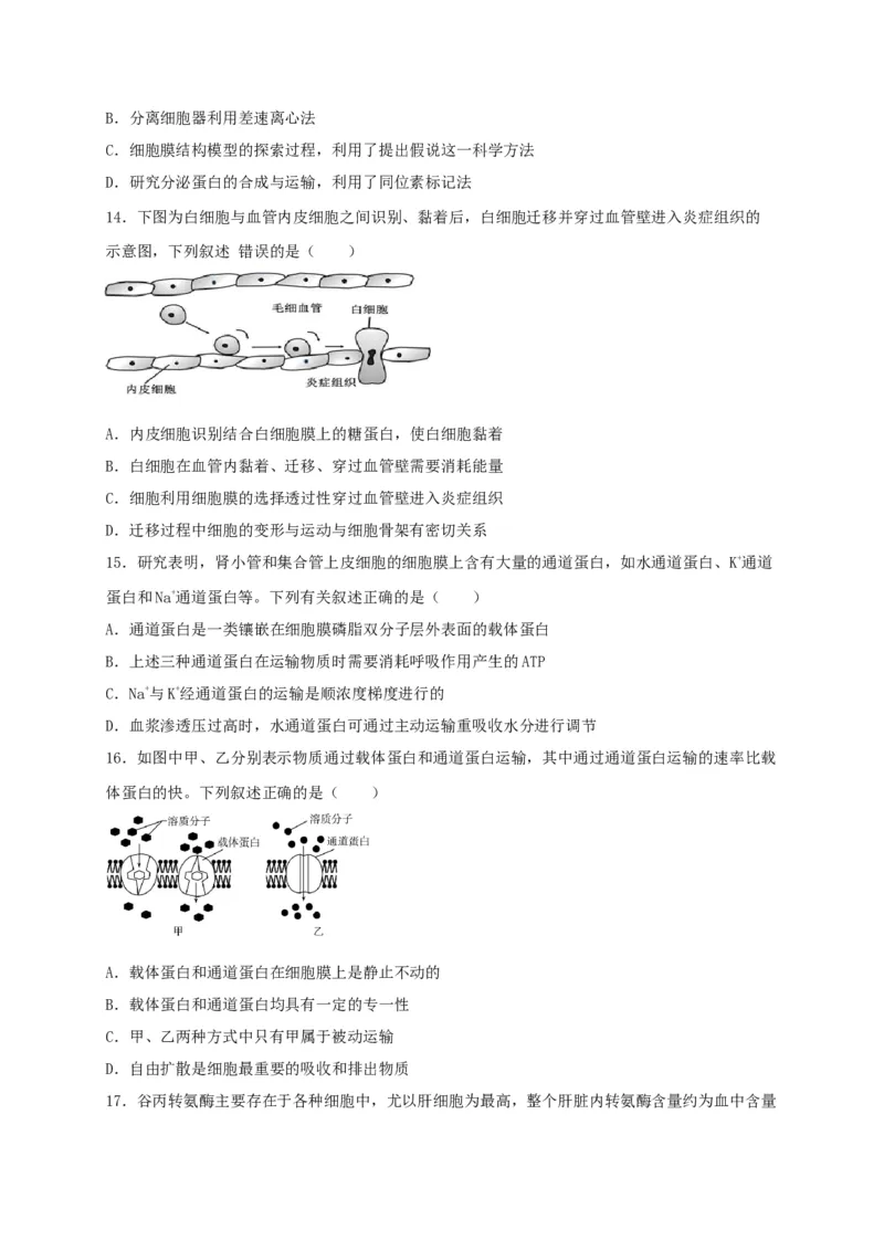 高一生物上学期期末测试卷03（人教版必修1）（原卷版）_高中九科知识点归纳。_人教版高中Word电子版试卷练习试题知识点全科_高中生物试卷习题_生物必修_必修1_1.模拟题