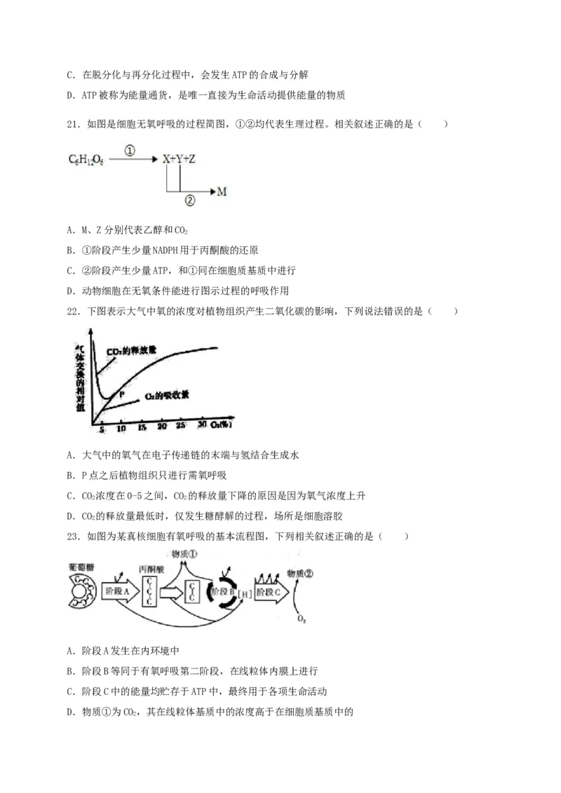 高一生物上学期期末测试卷03（人教版必修1）（原卷版）_高中九科知识点归纳。_人教版高中Word电子版试卷练习试题知识点全科_高中生物试卷习题_生物必修_必修1_1.模拟题