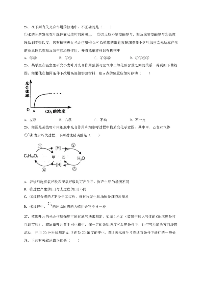 高一生物上学期期末测试卷03（人教版必修1）（原卷版）_高中九科知识点归纳。_人教版高中Word电子版试卷练习试题知识点全科_高中生物试卷习题_生物必修_必修1_1.模拟题