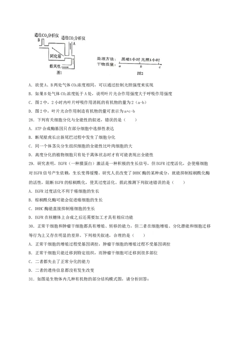 高一生物上学期期末测试卷03（人教版必修1）（原卷版）_高中九科知识点归纳。_人教版高中Word电子版试卷练习试题知识点全科_高中生物试卷习题_生物必修_必修1_1.模拟题