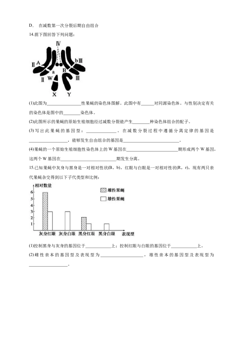 新教材精创2.2基因在染色体上练习（1）（原卷版）_高中九科知识点归纳。_人教版高中Word电子版试卷练习试题知识点全科_高中生物试卷习题_生物必修_必修2_1、同步练习