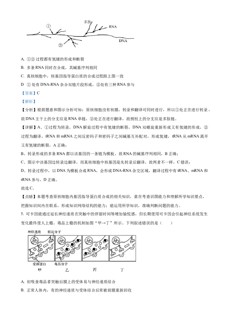 高三上学期期末生物试题（解析版）_高中九科知识点归纳。_人教版高中Word电子版试卷练习试题知识点全科_高中生物试卷习题_生物选修_选修1_人教版生物选修一期末试卷（012份）