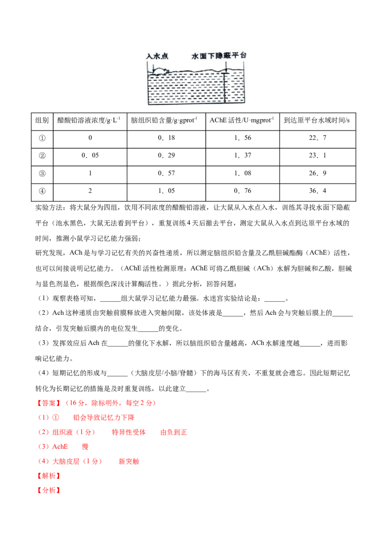 高二生物上学期期中测试卷03（人教版2019选择性必修1）（解析版）_高中九科知识点归纳。_人教版高中Word电子版试卷练习试题知识点全科_高中生物试卷习题_生物选修_选修1