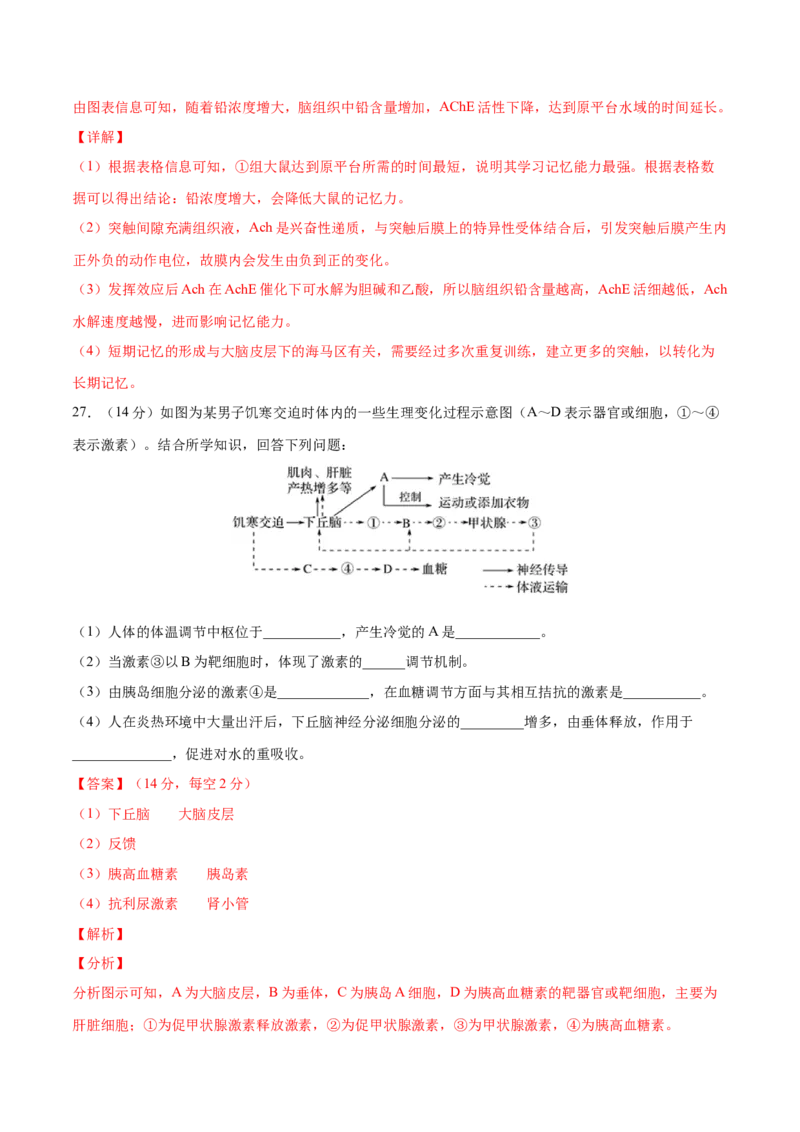 高二生物上学期期中测试卷03（人教版2019选择性必修1）（解析版）_高中九科知识点归纳。_人教版高中Word电子版试卷练习试题知识点全科_高中生物试卷习题_生物选修_选修1