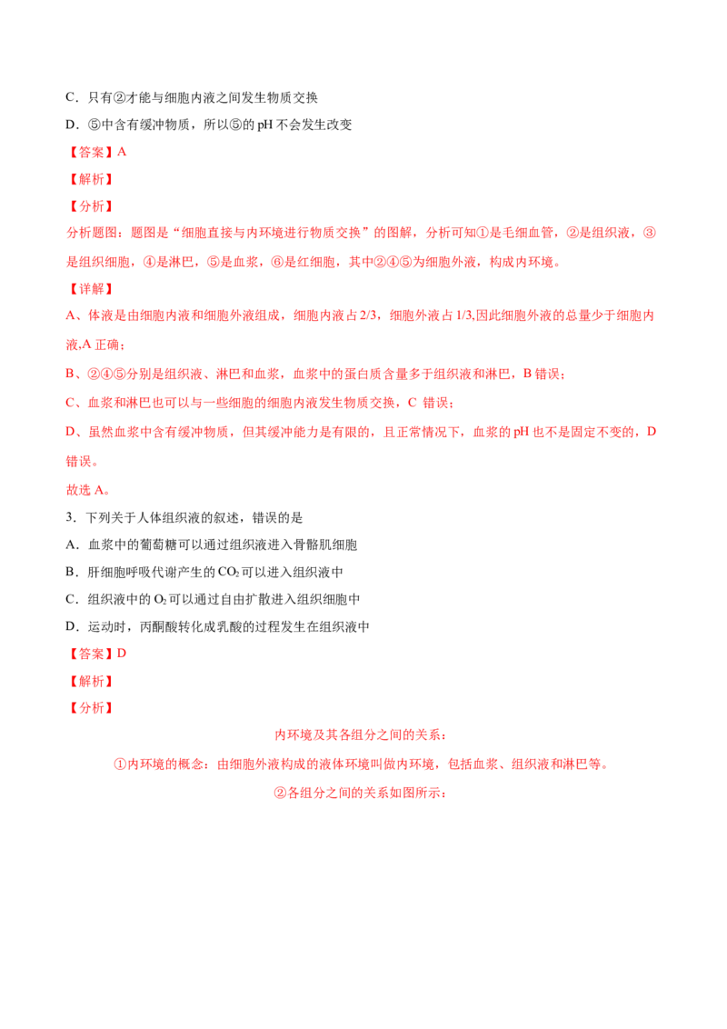 高二生物上学期期中测试卷03（人教版2019选择性必修1）（解析版）_高中九科知识点归纳。_人教版高中Word电子版试卷练习试题知识点全科_高中生物试卷习题_生物选修_选修1