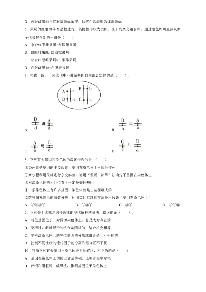 新教材精创2.2基因在染色体上练习（2）（原卷版）_高中九科知识点归纳。_人教版高中Word电子版试卷练习试题知识点全科_高中生物试卷习题_生物必修_必修2_1、同步练习