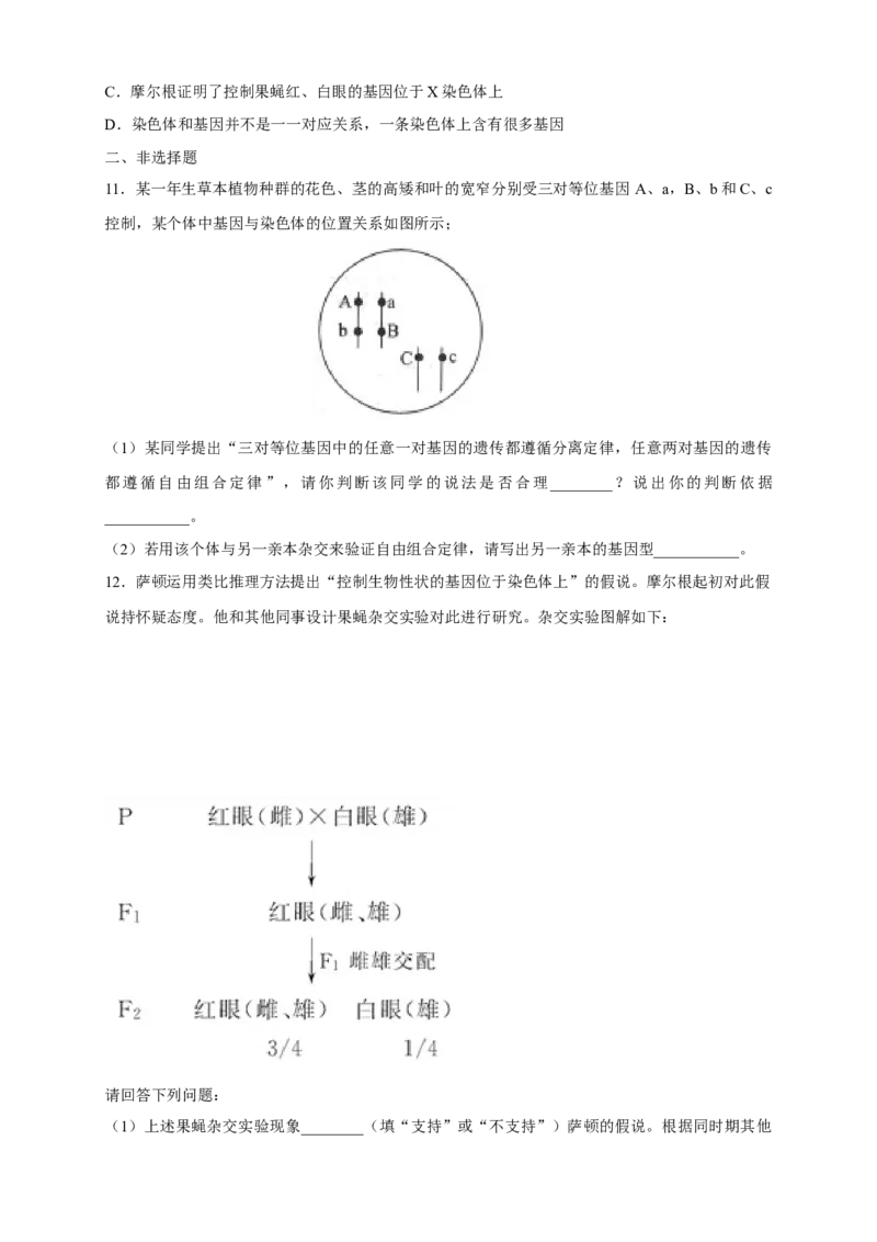 新教材精创2.2基因在染色体上练习（2）（原卷版）_高中九科知识点归纳。_人教版高中Word电子版试卷练习试题知识点全科_高中生物试卷习题_生物必修_必修2_1、同步练习