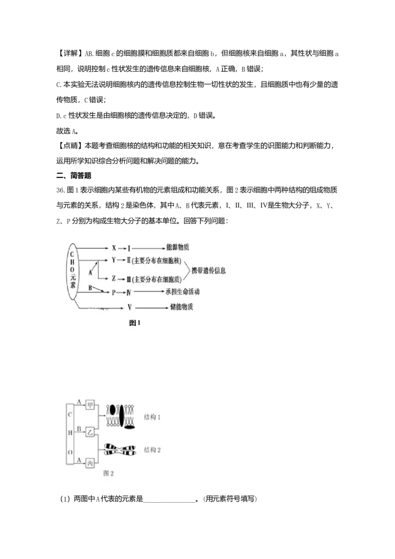 辽宁省实验中学高一上学期期中考试生物试题Word版含解析_高中九科知识点归纳。_人教版高中Word电子版试卷练习试题知识点全科_高中生物试卷习题_生物必修_必修1