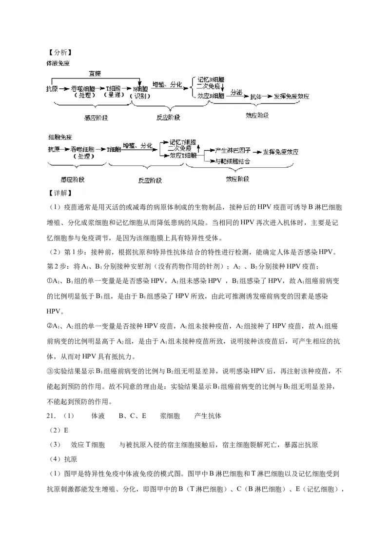 第4章免疫调节单元测试卷人教版（2019）高中生物选择性必修1_高中九科知识点归纳。_人教版高中Word电子版试卷练习试题知识点全科_高中生物试卷习题_生物选修_选修1_第四章