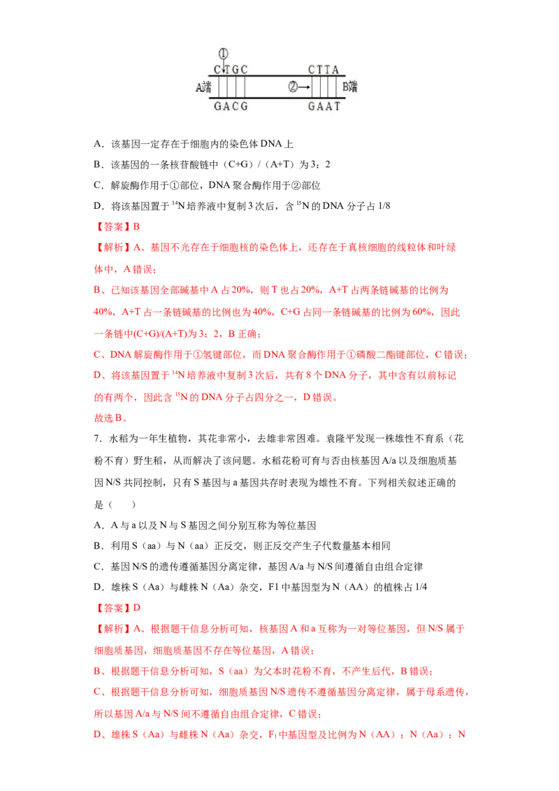 期末拔高卷1-冲刺期末高一生物下学期期末拔高冲刺卷（2019人教版）（解析版）_高中九科知识点归纳。_人教版高中Word电子版试卷练习试题知识点全科_高中生物试卷习题_生物必修