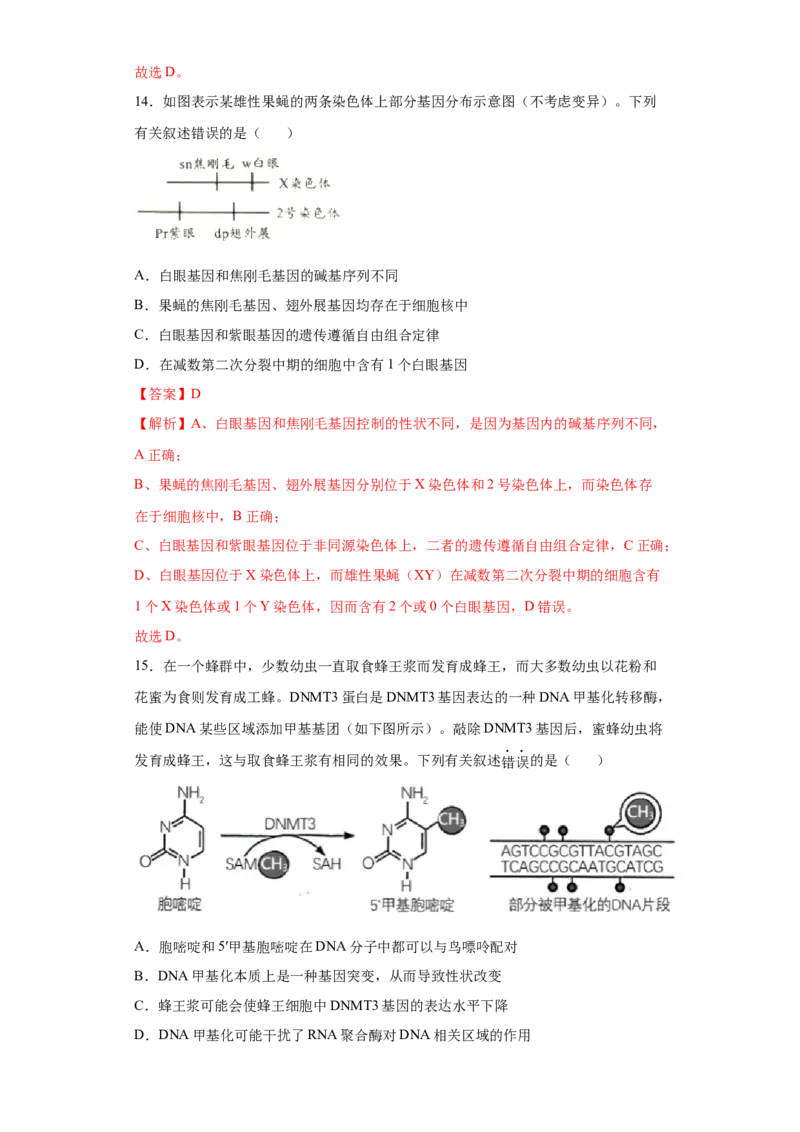 期末拔高卷1-冲刺期末高一生物下学期期末拔高冲刺卷（2019人教版）（解析版）_高中九科知识点归纳。_人教版高中Word电子版试卷练习试题知识点全科_高中生物试卷习题_生物必修