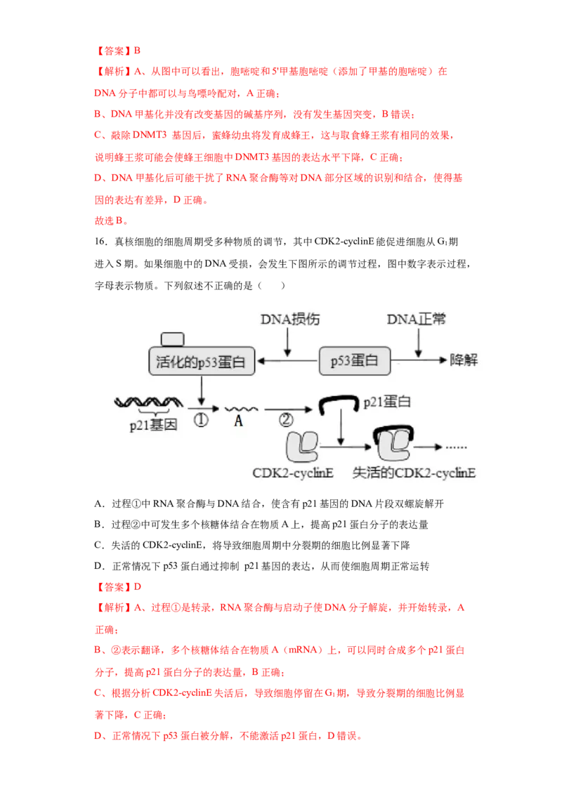 期末拔高卷1-冲刺期末高一生物下学期期末拔高冲刺卷（2019人教版）（解析版）_高中九科知识点归纳。_人教版高中Word电子版试卷练习试题知识点全科_高中生物试卷习题_生物必修