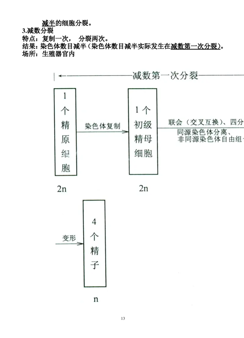生物_高考生物必修一二三知识点总结(人教版)_侧重知识梳理_56页_高中九科知识点归纳。_生物