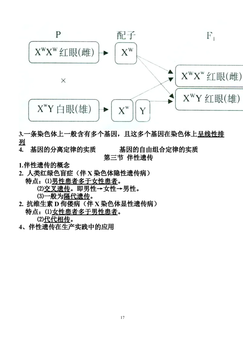 生物_高考生物必修一二三知识点总结(人教版)_侧重知识梳理_56页_高中九科知识点归纳。_生物