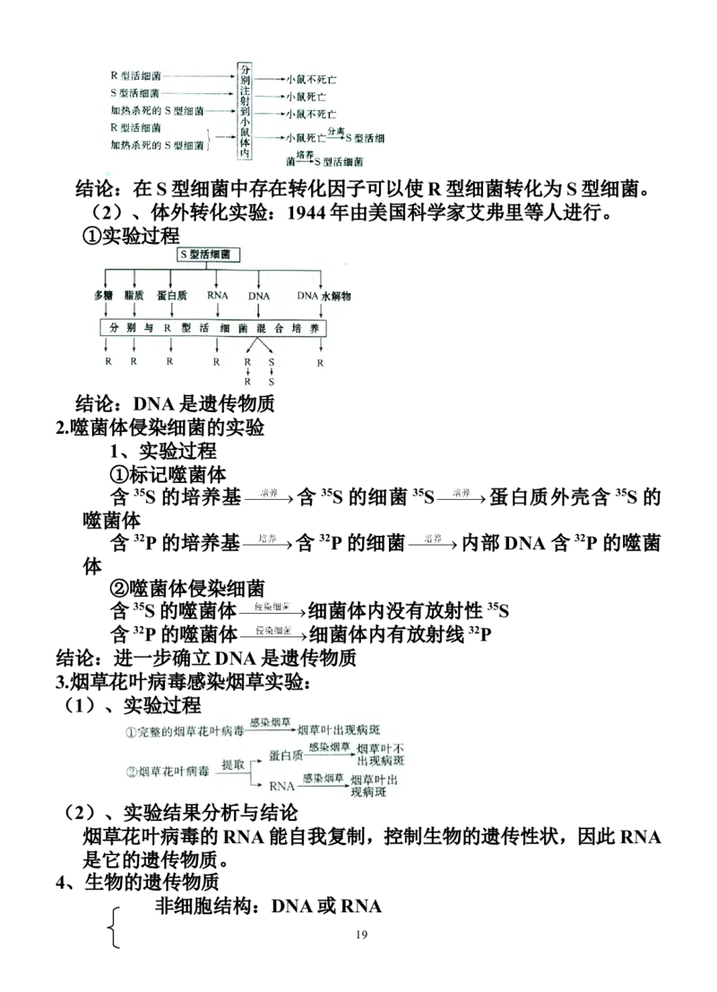 生物_高考生物必修一二三知识点总结(人教版)_侧重知识梳理_56页_高中九科知识点归纳。_生物
