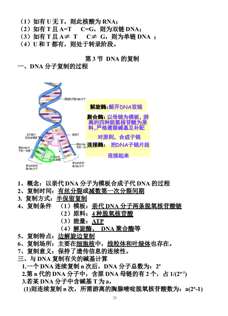 生物_高考生物必修一二三知识点总结(人教版)_侧重知识梳理_56页_高中九科知识点归纳。_生物