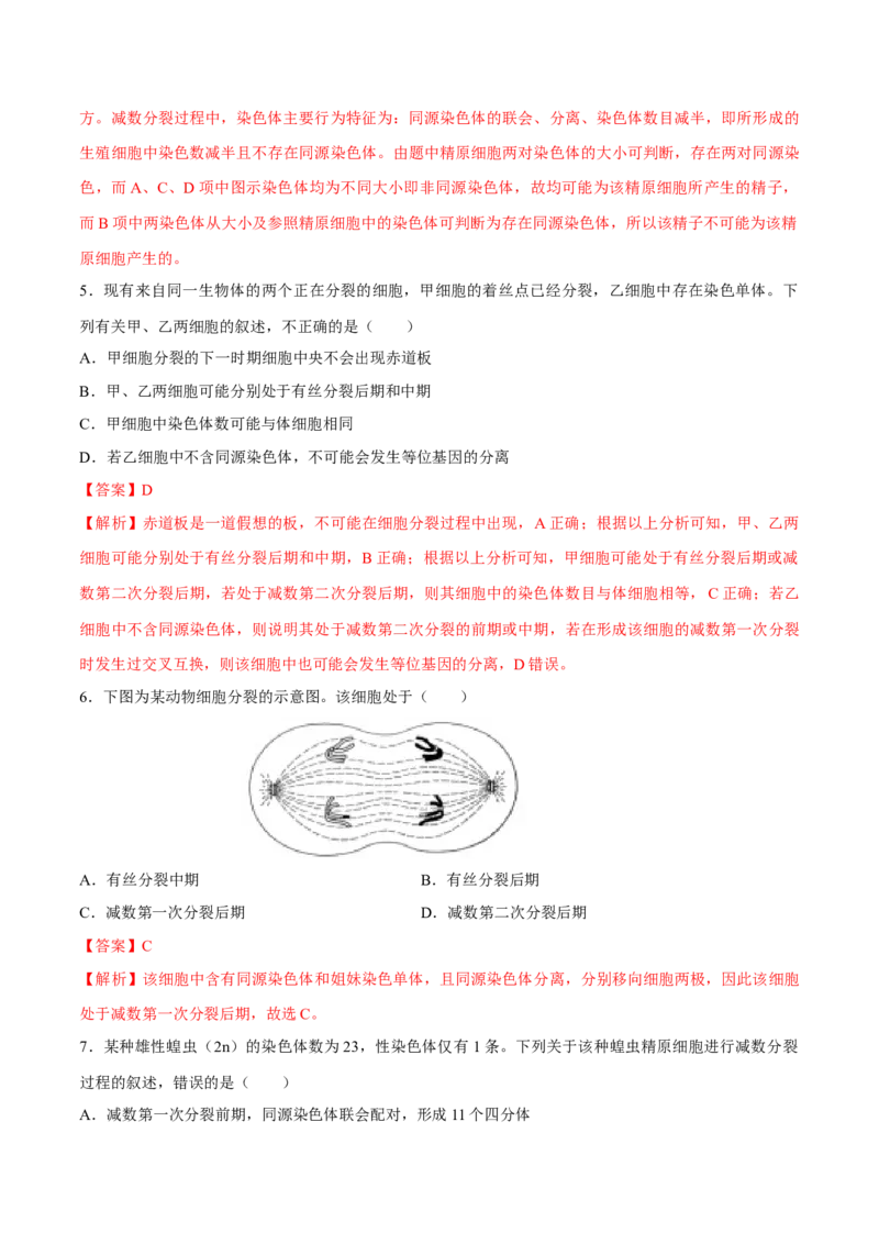 新教材2.11减数分裂和受精作用练习（2）（解析版）_高中九科知识点归纳。_人教版高中Word电子版试卷练习试题知识点全科_高中生物试卷习题_生物必修_必修2_1、同步练习