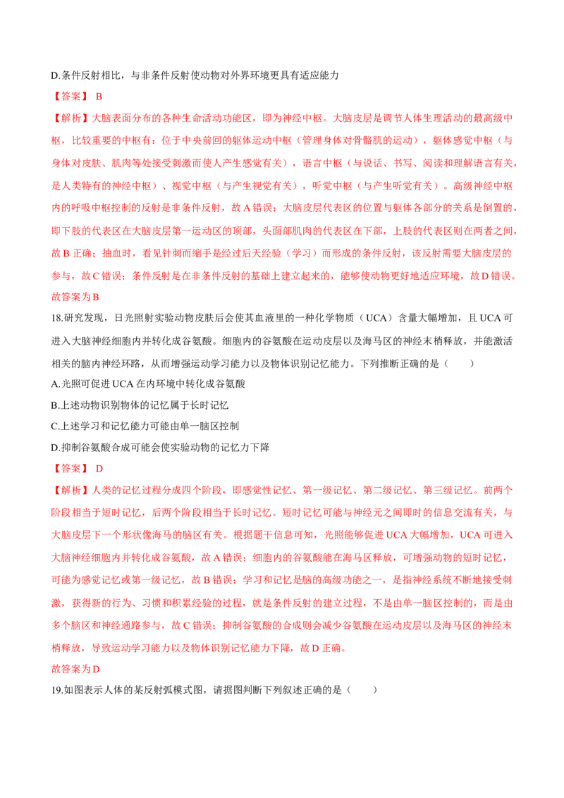 第2章神经调节（测试卷）-高二生物章末检测卷（人教版2019选择性必修1）（解析版）_高中九科知识点归纳。_人教版高中Word电子版试卷练习试题知识点全科_高中生物试卷习题_生物选修