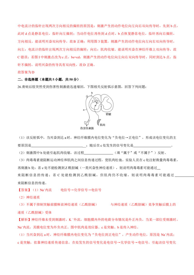 第2章神经调节（测试卷）-高二生物章末检测卷（人教版2019选择性必修1）（解析版）_高中九科知识点归纳。_人教版高中Word电子版试卷练习试题知识点全科_高中生物试卷习题_生物选修