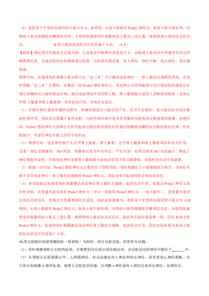 第2章神经调节（测试卷）-高二生物章末检测卷（人教版2019选择性必修1）（解析版）_高中九科知识点归纳。_人教版高中Word电子版试卷练习试题知识点全科_高中生物试卷习题_生物选修