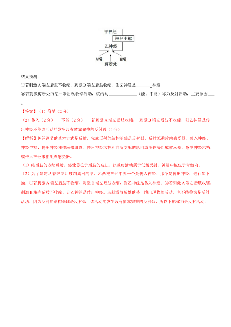 第2章神经调节（测试卷）-高二生物章末检测卷（人教版2019选择性必修1）（解析版）_高中九科知识点归纳。_人教版高中Word电子版试卷练习试题知识点全科_高中生物试卷习题_生物选修