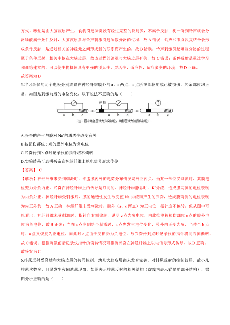 第2章神经调节（测试卷）-高二生物章末检测卷（人教版2019选择性必修1）（解析版）_高中九科知识点归纳。_人教版高中Word电子版试卷练习试题知识点全科_高中生物试卷习题_生物选修