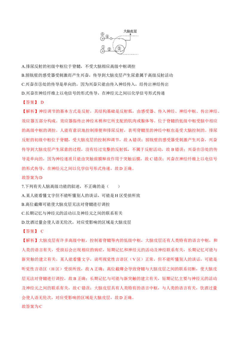 第2章神经调节（测试卷）-高二生物章末检测卷（人教版2019选择性必修1）（解析版）_高中九科知识点归纳。_人教版高中Word电子版试卷练习试题知识点全科_高中生物试卷习题_生物选修