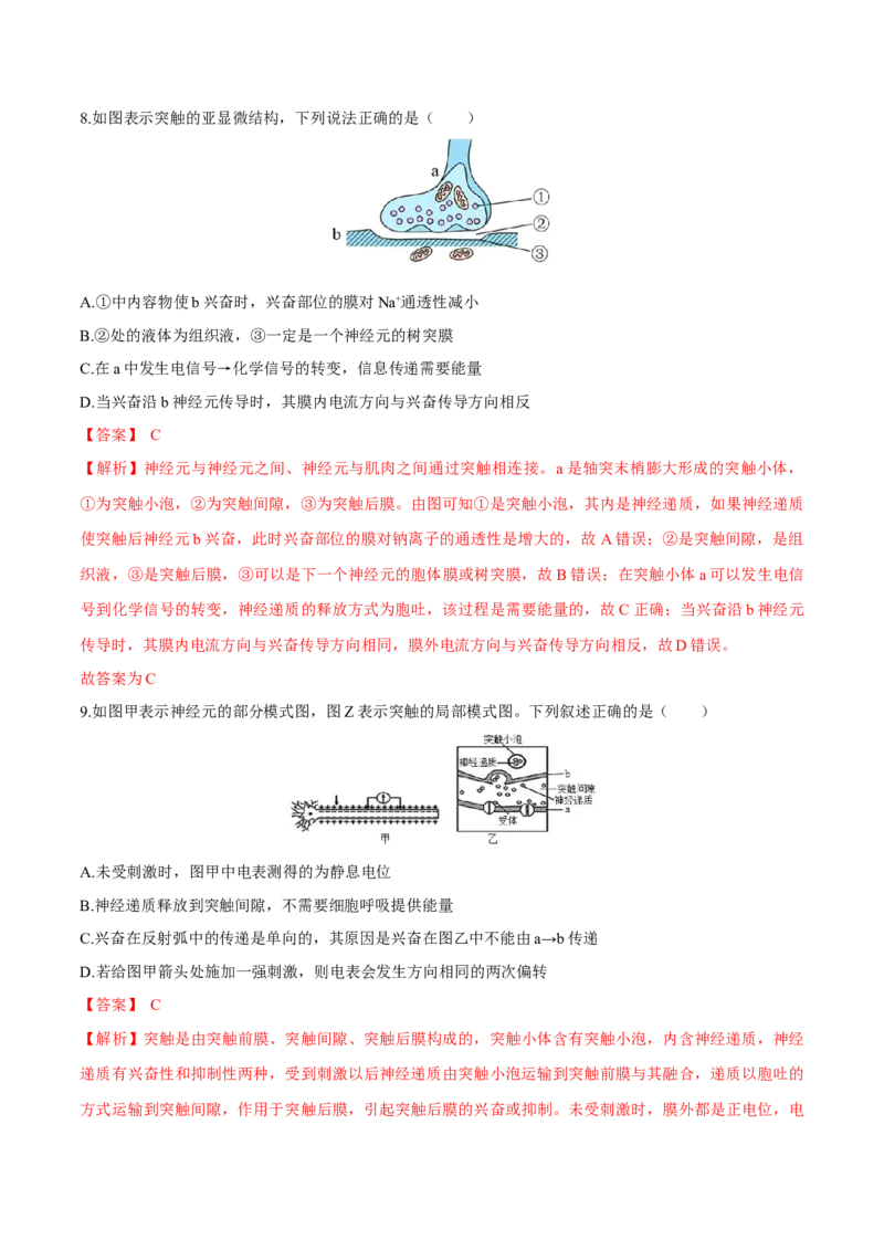 第2章神经调节（测试卷）-高二生物章末检测卷（人教版2019选择性必修1）（解析版）_高中九科知识点归纳。_人教版高中Word电子版试卷练习试题知识点全科_高中生物试卷习题_生物选修