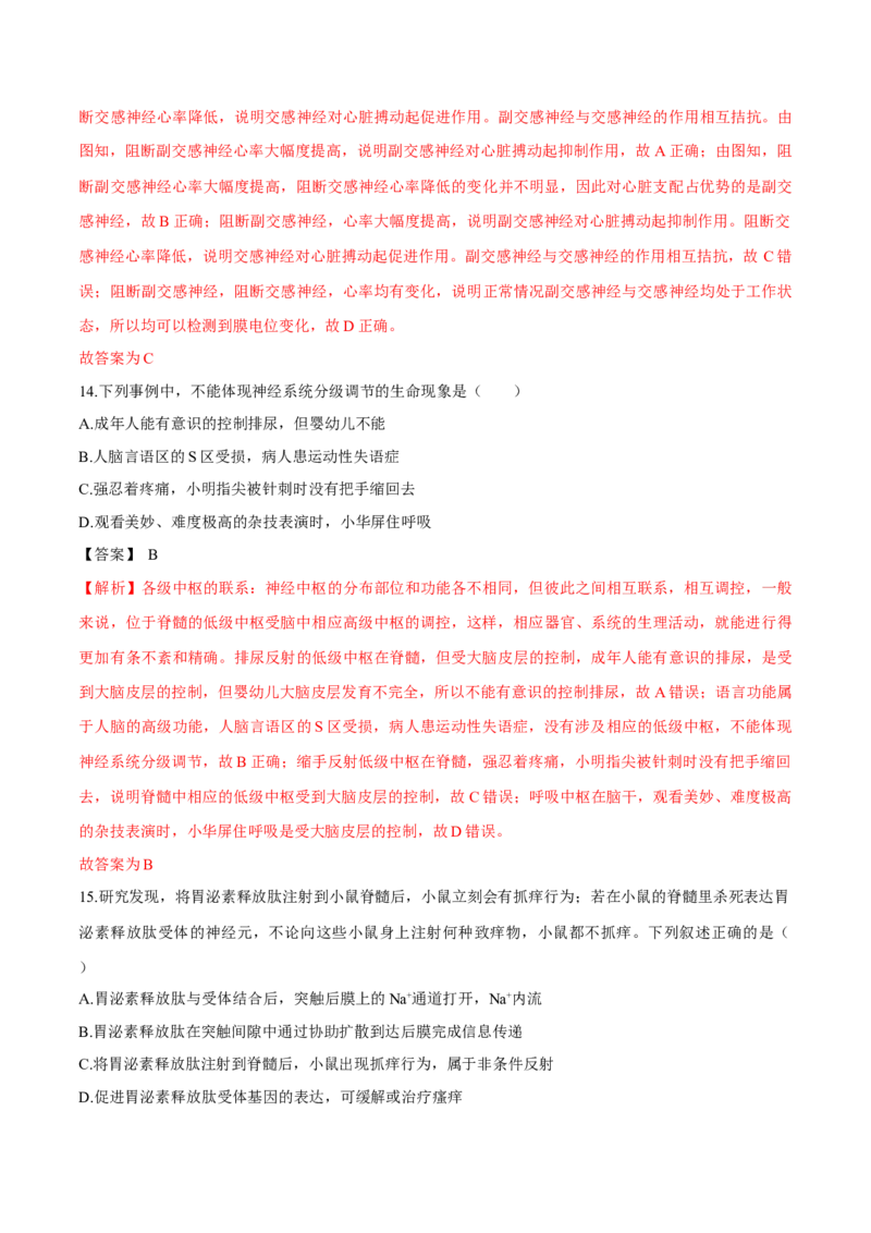 第2章神经调节（测试卷）-高二生物章末检测卷（人教版2019选择性必修1）（解析版）_高中九科知识点归纳。_人教版高中Word电子版试卷练习试题知识点全科_高中生物试卷习题_生物选修