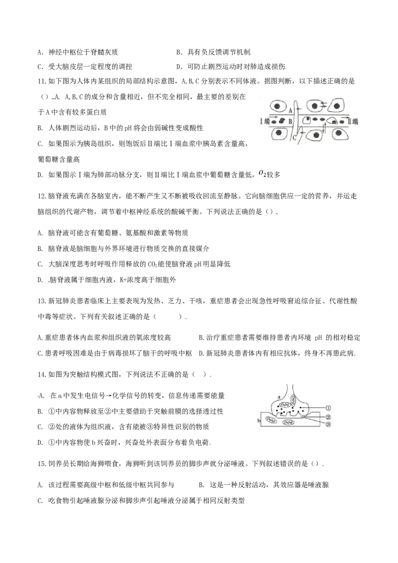 高二上学期第2次周测生物试题（选择性必修1第1-2章）_高中九科知识点归纳。_人教版高中Word电子版试卷练习试题知识点全科_高中生物试卷习题_生物选修_选修1