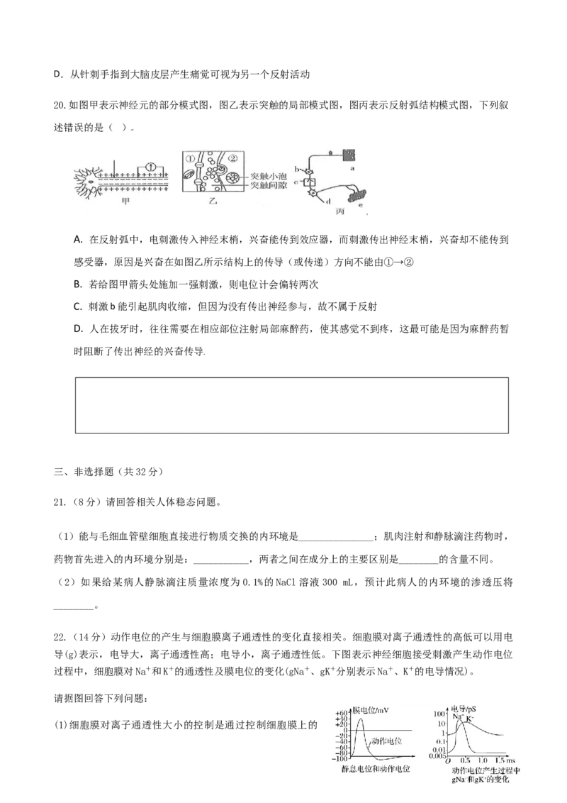高二上学期第2次周测生物试题（选择性必修1第1-2章）_高中九科知识点归纳。_人教版高中Word电子版试卷练习试题知识点全科_高中生物试卷习题_生物选修_选修1