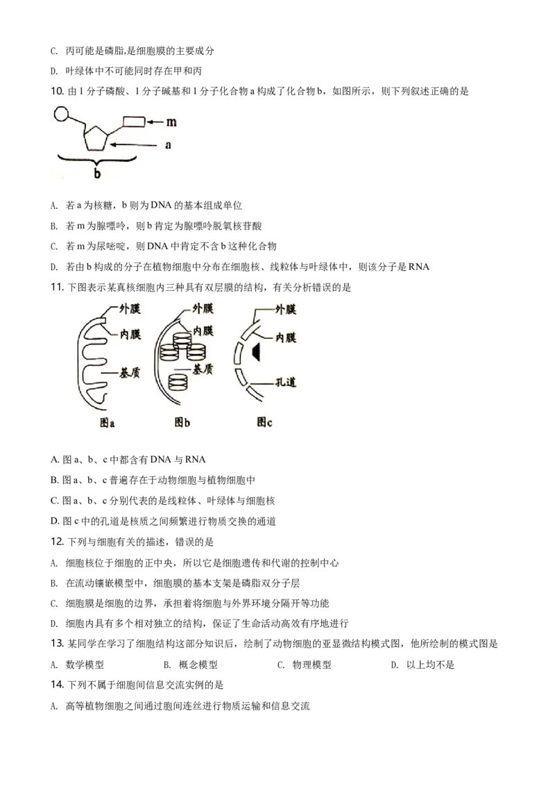 精品解析：天津市滨海新区高一上学期期末生物试题（原卷版）_高中九科知识点归纳。_人教版高中Word电子版试卷练习试题知识点全科_高中生物试卷习题_生物必修_必修1_2.各地真题