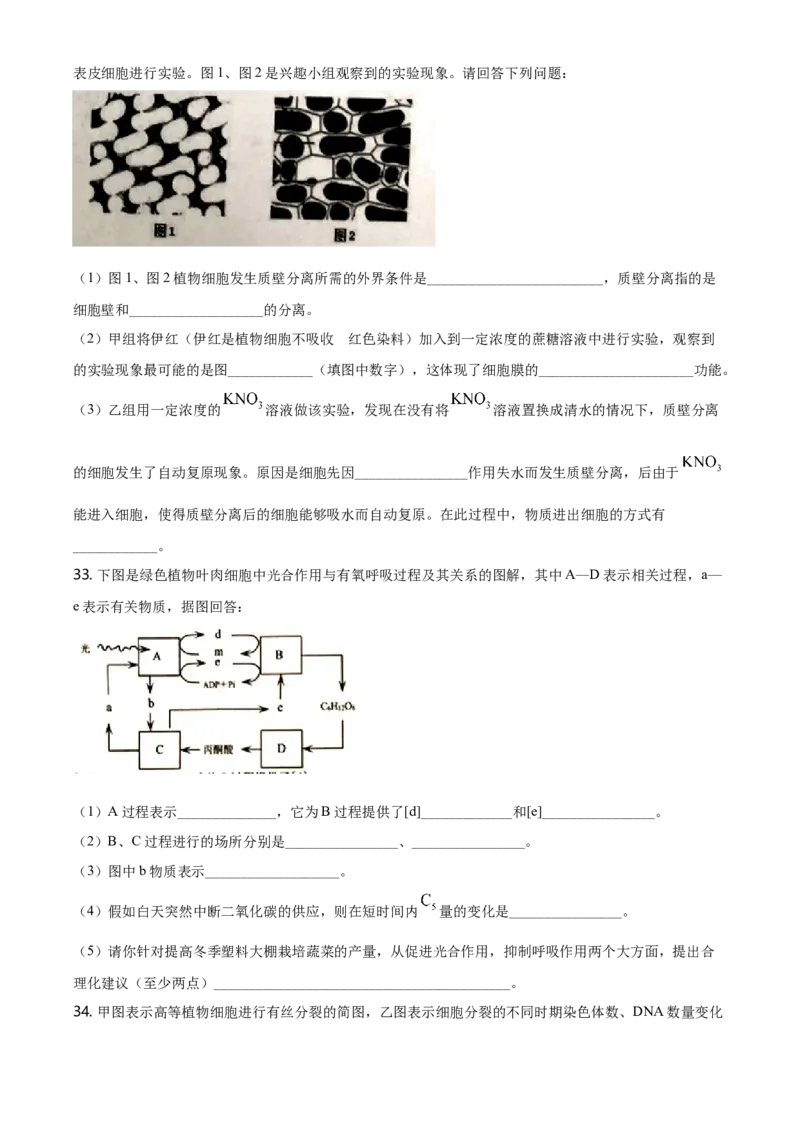 精品解析：天津市滨海新区高一上学期期末生物试题（原卷版）_高中九科知识点归纳。_人教版高中Word电子版试卷练习试题知识点全科_高中生物试卷习题_生物必修_必修1_2.各地真题