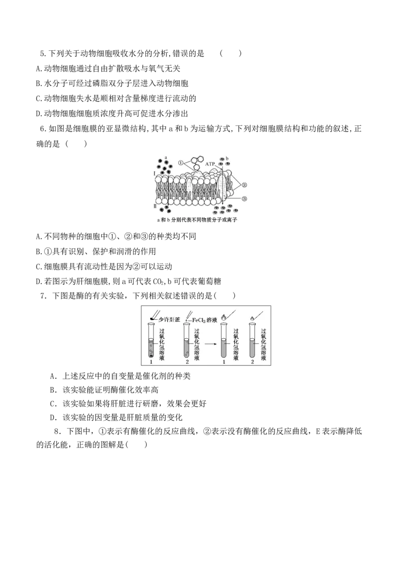第二次月考卷-高一生物上学期课后培优分级练（2019人教版必修1）（原卷版）_高中九科知识点归纳。_人教版高中Word电子版试卷练习试题知识点全科_高中生物试卷习题_生物必修_必修1