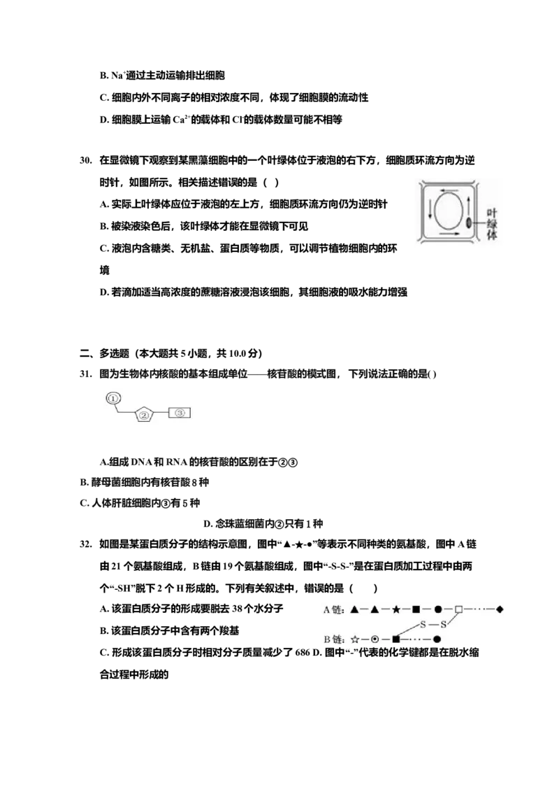 山东省淄博第一中学高一上学期期中模块考试生物试题_高中九科知识点归纳。_人教版高中Word电子版试卷练习试题知识点全科_高中生物试卷习题_生物必修_必修1