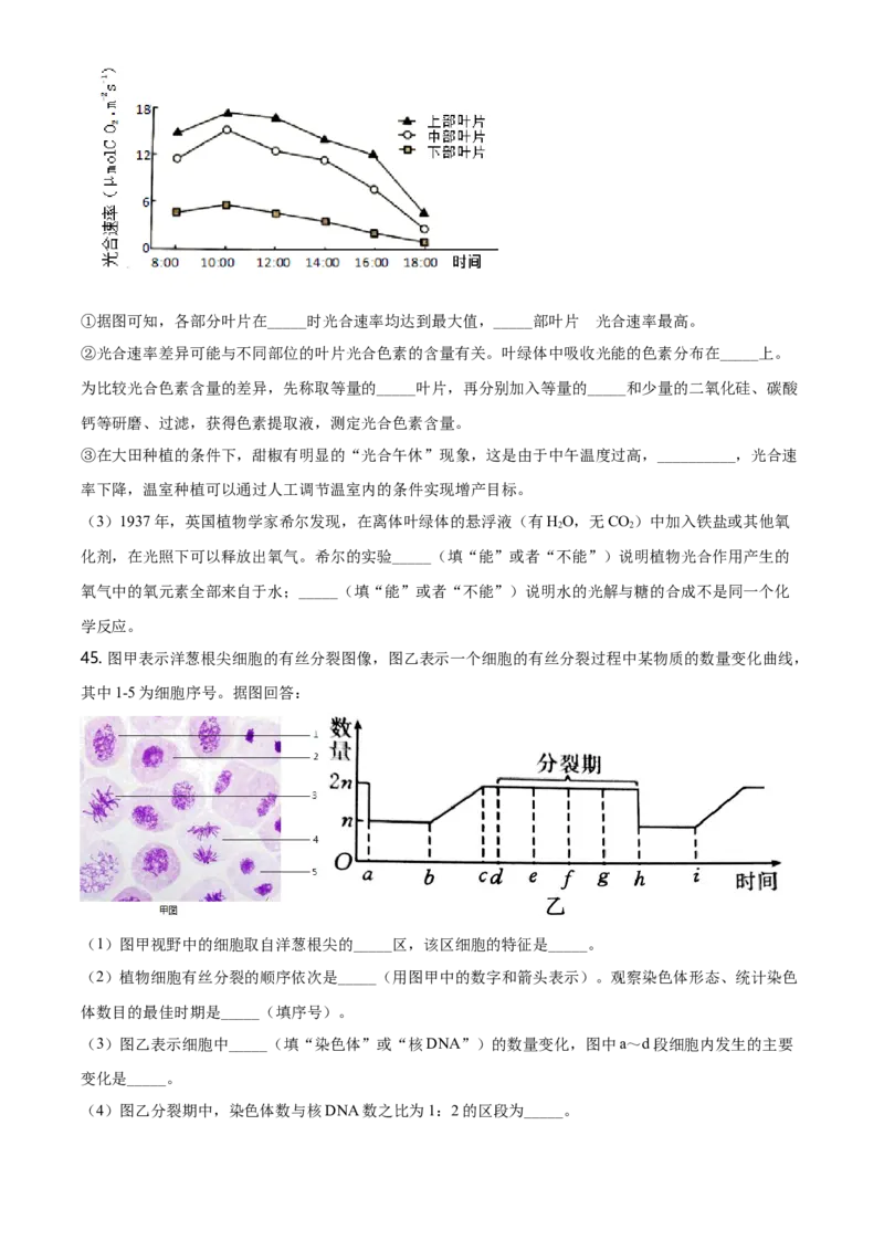 精品解析：黑龙江省鹤岗市一中高一上学期期末生物试题（原卷版）_高中九科知识点归纳。_人教版高中Word电子版试卷练习试题知识点全科_高中生物试卷习题_生物必修_必修1_2.各地真题