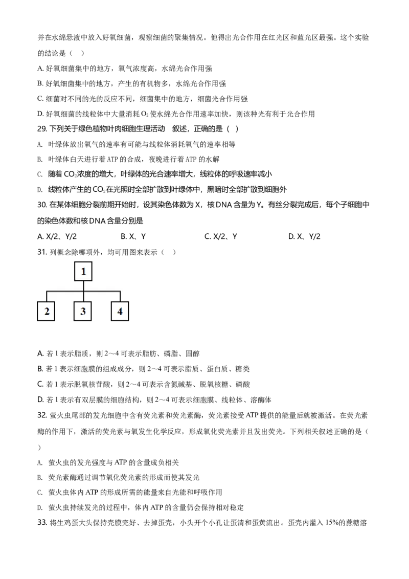 精品解析：黑龙江省鹤岗市一中高一上学期期末生物试题（原卷版）_高中九科知识点归纳。_人教版高中Word电子版试卷练习试题知识点全科_高中生物试卷习题_生物必修_必修1_2.各地真题
