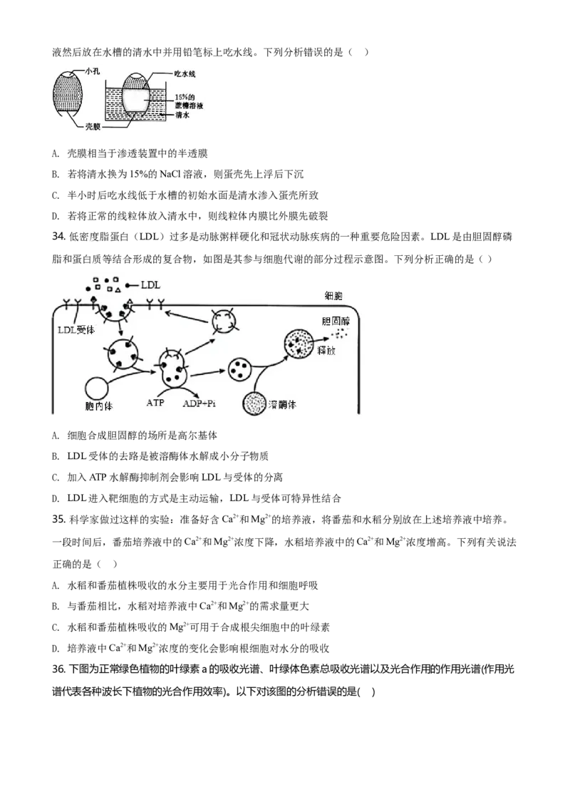 精品解析：黑龙江省鹤岗市一中高一上学期期末生物试题（原卷版）_高中九科知识点归纳。_人教版高中Word电子版试卷练习试题知识点全科_高中生物试卷习题_生物必修_必修1_2.各地真题