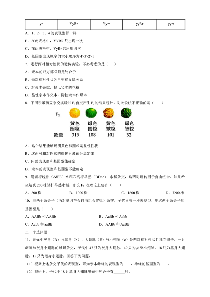 新教材精创1.2.1孟德尔的豌豆杂交实验（二）练习（2）（原卷版）_高中九科知识点归纳。_人教版高中Word电子版试卷练习试题知识点全科_高中生物试卷习题_生物必修_必修2