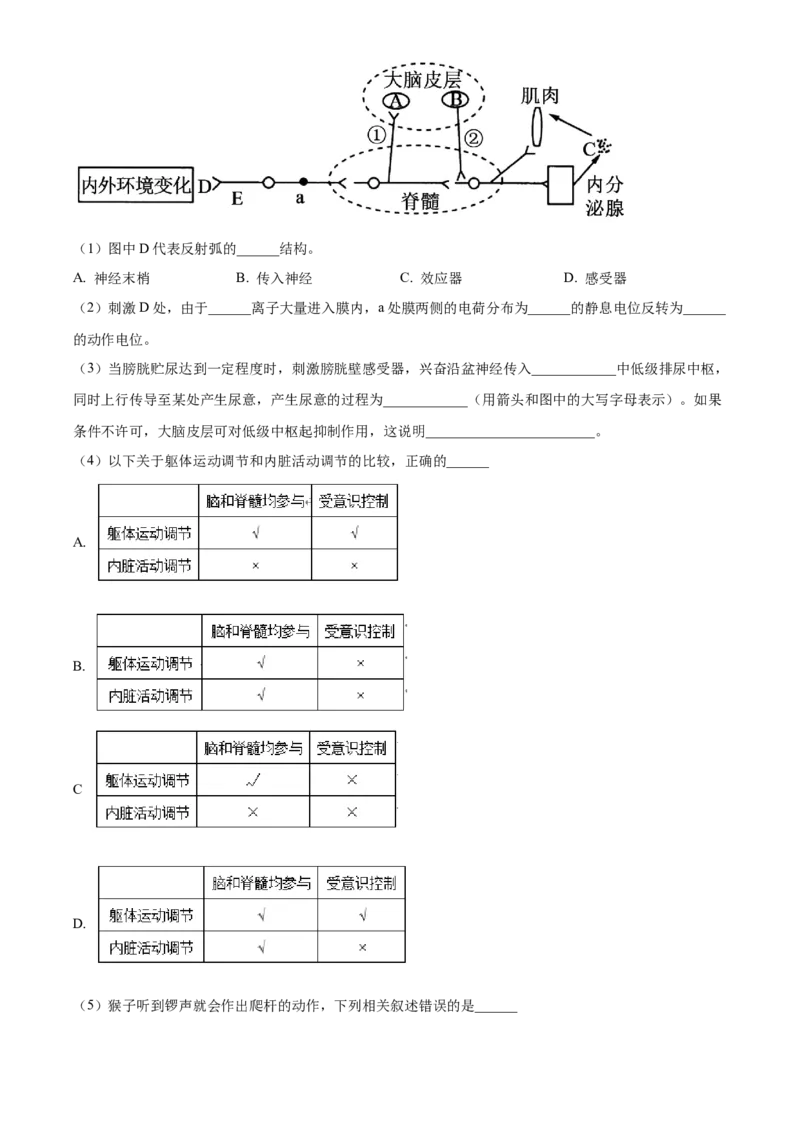 高二上学期期末生物试题（原卷版）_高中九科知识点归纳。_人教版高中Word电子版试卷练习试题知识点全科_高中生物试卷习题_生物选修_选修1_人教版生物选修一期末试卷（012份）_894