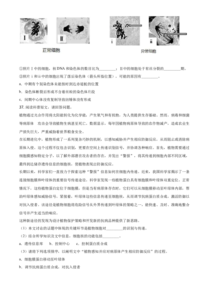 精品解析：北京市朝阳区高一上学期期末质量检测生物试题（原卷版）_高中九科知识点归纳。_人教版高中Word电子版试卷练习试题知识点全科_高中生物试卷习题_生物必修_必修1_2.各地真题