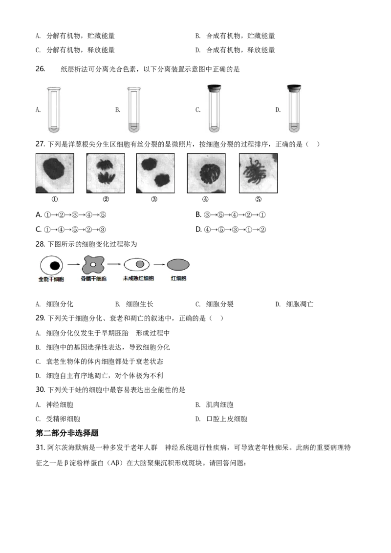 精品解析：北京市朝阳区高一上学期期末质量检测生物试题（原卷版）_高中九科知识点归纳。_人教版高中Word电子版试卷练习试题知识点全科_高中生物试卷习题_生物必修_必修1_2.各地真题