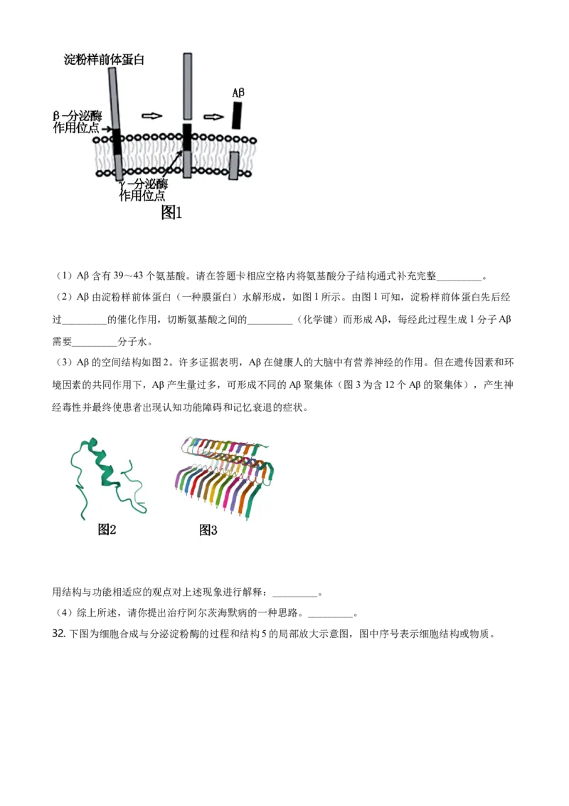 精品解析：北京市朝阳区高一上学期期末质量检测生物试题（原卷版）_高中九科知识点归纳。_人教版高中Word电子版试卷练习试题知识点全科_高中生物试卷习题_生物必修_必修1_2.各地真题